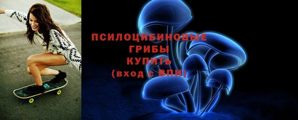 кокс Арсеньев
