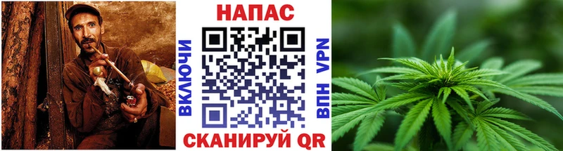Бошки марихуана индика Ужур
